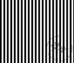 Black and White Striped Curtain and Sofa Fabric