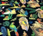 Black Fabric with Forest Birds and Parrot Pattern - Image 5