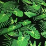 Green Leaf Amazon Pattern Fabric