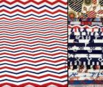 Naval Zigzag Patterned Curtain and Sofa Fabric