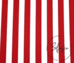 Red Pinstripe Fabric, Sofa and Curtain Fabric - Image 4