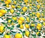 Vintage Lemons Patterned Sofa Fabric - Image 3