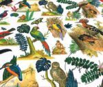 White Fabric with Forest Birds and Parrot Pattern - Image 7