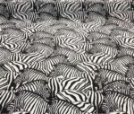Zebra Herd Patterned Sofa and Curtain Fabric - Image 4
