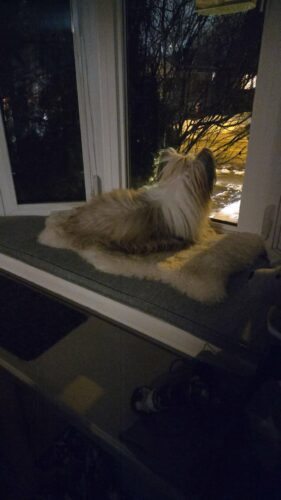 Custom Trapezoid Bay Window Cushion photo review