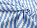 Blue and White Striped Sofa and Cushion Fabric