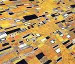 Mustard Yellow Modern Sofa Upholstery Fabric - Image 7