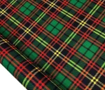 Red and Green Plaid Fabric Model